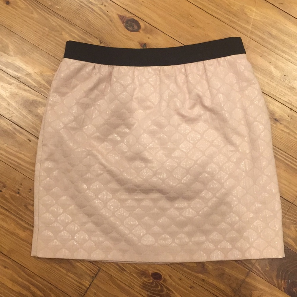☝🏼 LAST CHANCE! Ann Taylor Loft Pale Pink Skirt